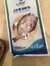 仙泉湖三去白蕉海鱸魚1斤/條凈膛冷凍刺少肉厚珠海特產(chǎn)500g生鮮食材 曬單實拍圖