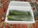 新鮮蘇子葉韓國烤肉紫蘇葉粘豆包葉即食蔬菜現(xiàn)摘菜葉非露天紫蘇 現(xiàn)摘500克(不是露天紫蘇) 曬單實拍圖