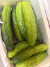 京鮮生 山東童年旱黃瓜 凈重5斤 單果100g+ 水果小青瓜 輕食 源頭直發(fā) 曬單實拍圖