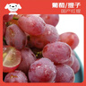 京鮮生 國產(chǎn)紅提 葡萄 2斤裝 生鮮水果 酸甜口感 曬單實拍圖