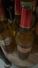 烏蘇新疆原產(chǎn)金色大烏蘇純生啤酒網(wǎng)紅高濃度新鮮麥芽啤日期新新疆直發(fā) 烏蘇純生 520mL 6瓶 泡沫箱1箱 曬單實拍圖