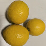 京鮮生 重慶萬州青檸檬6粒 單果80g+ 生鮮水果 源頭直發(fā)包郵 曬單實(shí)拍圖