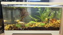 京業(yè)（JINGYE）魚缸過濾器JY-W255款6W壁掛式過濾泵除油膜瀑布過濾器流量可調(diào) 曬單實(shí)拍圖