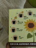 IAM City Farmer向日葵兒童種植盆栽種子學生植物觀察窗發(fā)芽生長趣味diy植物10033 曬單實拍圖