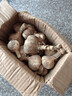 春平賦2025年新鮮大蒜頭現(xiàn)挖新蒜紫皮大蒜批發(fā)鮮蒜紅皮蒜糖醋濕蒜 2斤裝含箱 1000g 【果徑4-5cm] 曬單實(shí)拍圖