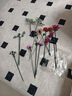 樂高（LEGO）積木拼裝10342 粉黛花束男孩女孩玩具生日禮物 曬單實拍圖