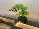 貴秘書(shū)中式客廳花瓶仿真迎客松綠植造景擺件仿真樹(shù)室內盆栽玄關(guān)桌面裝飾 D款美人松 曬單實(shí)拍圖