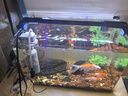 吉印刀鋒s魚(yú)缸燈led燈防水全光譜魚(yú)缸照明燈水草燈小型超白魚(yú)燈36cm 曬單實(shí)拍圖