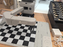 元蘿卜SenseRobotAI下棋機器人國際象棋 對弈 習題 陪練 漲棋 AI講題 人機互動(dòng) 家用學(xué)習【國際象棋】 曬單實(shí)拍圖