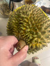 京鮮生 進口金枕頭榴蓮 凈重5-6斤 1個裝  鮮果 生鮮 新鮮水果 曬單實拍圖