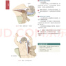 推拿按摩的解剖學(xué)基礎(chǔ)（第6版） 曬單實(shí)拍圖