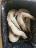 鯨口大開(kāi)【青島蝦】超大蝦新鮮大蝦冷凍鮮活青島大蝦批發(fā)整箱基圍蝦青蝦 15-17厘米鮮蝦速凍 3斤(凈重) 曬單實(shí)拍圖