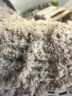 銳舞（RANVOO）【 醫(yī)生推薦|100%好評(píng)】除螨儀床上高溫殺菌吸塵器螨蟲儀一體機(jī)家用超聲波三合一手持大吸力神器 【MAX4代熱賣款】三甲皮膚科醫(yī)生推薦 曬單實(shí)拍圖