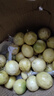 海南欽蜜9號黃金百香果啟鴻 新鮮水果純甜 如蜜 20個(gè)裝（30-45g） 曬單實(shí)拍圖