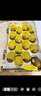 佳沛（zespri）新西蘭陽(yáng)光金果 16粒巨無(wú)霸 單果202-230g   獼猴桃 中秋水果禮盒 曬單實(shí)拍圖