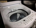 東芝（TOSHIBA）波輪洗衣機全自動 DB-10T06D 直驅(qū)變頻 10公斤大容量白色 不彎腰 除菌螨 以舊換新家電國家補貼20% 曬單實拍圖