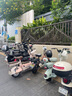 臺鈴電動自行車【國家補貼】小錦鯉50公里長續(xù)航電動車鉛酸電池48V13Ah電瓶車新國標(biāo)碧波綠 曬單實拍圖