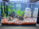 森森（SUNSUN）耀藍魚缸壁掛式過濾器YBF-500外置過濾桶【魚便分離+過濾升級】6W 曬單實拍圖