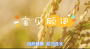 寶貝顧問(wèn)韓國進(jìn)口糙米條 寶寶零食出游 兒童零食泡芙條 混合水果味20g 曬單實(shí)拍圖