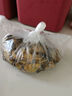 胖東來(lái)品質(zhì)生蠔干金蠔干煲湯淡曬海蠣干蠔鼓肉干帶膏海鮮特產(chǎn)干貨 大號生蠔干100·g【約50-55頭】生曬不抽油 曬單實(shí)拍圖