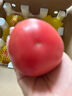 京鮮生沙瓤粉西紅柿 凈重3斤 單果100g+果菜兩吃 源頭直發(fā) 【搜生鮮館】 曬單實(shí)拍圖