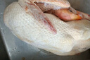 溫氏 廣東農(nóng)養(yǎng)番鴨4斤 冷凍生鮮鴨肉土鴨子姜母鴨 瘦肉型飛鴨慢養(yǎng) 曬單實拍圖