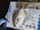 1號會(huì )員店（One's Member）甄選海南二去金鯧魚(yú)去鰓去內臟生鮮魚(yú)類(lèi) 海鮮水產(chǎn) 700g/2條裝 曬單實(shí)拍圖