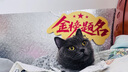 NOKIA新105 4G 全網(wǎng)通移動(dòng)聯(lián)通電信 老人老年按鍵直板學(xué)生兒童備用戒網(wǎng)手機 雙卡雙待  藍色 曬單實(shí)拍圖
