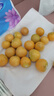 東北姑娘果新鮮當季水果黃菇娘燈籠果酸甜可口甜菇娘特產(chǎn)京東包郵 【帶箱3斤】東北姑娘果 曬單實(shí)拍圖