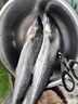 賣(mài)魚(yú)七郎 青島海捕大鲅魚(yú)整條凈重5斤（5-8條）馬鮫魚(yú)海鮮生鮮魚(yú)類(lèi) 曬單實(shí)拍圖