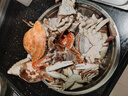 梭子蟹鮮活新鮮冷凍特大一整箱螃蟹野生海蟹飛蟹公蟹母蟹冰鮮 【新人嘗鮮】母蟹凈重2斤/4-6只 曬單實(shí)拍圖