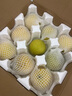 京覓 碭山青皮蜜梨 單果250g起 凈重4.5斤起 生鮮水果 源頭直發(fā) 曬單實(shí)拍圖