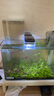 海諳亞克力負壓魚(yú)缸造景生態(tài)小型裝飾水族箱客廳斗魚(yú)家用創(chuàng  )意斗魚(yú)缸 加厚高清負壓魚(yú)缸（加固支架）10*10*15 曬單實(shí)拍圖