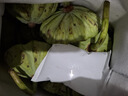 鮮級佳新鮮蓮蓬現(xiàn)摘生吃甜嫩蓮子米浙江太空蓮當季應季孕婦時令水果整箱 凈重3斤新鮮蓮蓬【冰袋保鮮】 曬單實拍圖