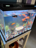 森森超白玻璃魚(yú)缸一體缸自循環(huán)免安裝XHE-480(黑) 曬單實(shí)拍圖