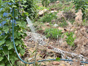 智匯充電式抽水泵澆菜神器澆水機鋰電家用澆菜地戶外灌溉抽水機 續(xù)航升級四渦輪抽水泵+13米水管 【續(xù)航持久】配置全面升級 曬單實拍圖