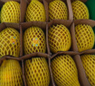佳沛（zespri）新西蘭  陽(yáng)光金奇異果10粒禮盒巨大果單果約144-175g 水果 獼猴桃 曬單實(shí)拍圖