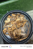 承真堂茶樹(shù)菇干貨 罐裝批發(fā)新鮮燉湯特500克級不開(kāi)傘香菇菌菇 【1罐】茶樹(shù)菇（250g） 曬單實(shí)拍圖