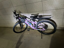鳳凰新款山地車(chē)自行車(chē)女FA160輕量鋁架變速碟剎男成人學(xué)生越野單車(chē) 鋁架補(bǔ)土-油碟剎-暮煙紫-95裝 26寸【適合身高155-180CM】 27速 曬單實(shí)拍圖