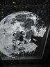 POCOCO星空投影燈滿天星臥室夜燈高級感氛圍燈浪漫星空頂送女友生日禮物 星空白【銀河私藏】至高到手9張 曬單實拍圖
