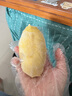 真牛館x京東plus澳洲和牛MB45原切牛肉牛排1kg 牛肉生鮮【真原切】 曬單實(shí)拍圖