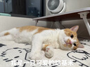 小米（MI）插線板8位總控開關版插排插座拖線板插板接線板一轉(zhuǎn)多插座多用插座擴展全長1.8m 曬單實拍圖