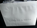 CHARLES&KEITH大號kerry郵差包大容量腋下包生日禮物CK2-20782514 曬單實(shí)拍圖