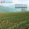 完美蘆薈膠補(bǔ)水保濕溫和滋養(yǎng)改善肌膚增加彈性男女護(hù)膚舒緩乳液面霜 經(jīng)典版2支禮盒裝 曬單實(shí)拍圖