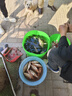 漁之源釣魚(yú)傘防雨垂釣加厚多向釣傘漁具傘戶(hù)外釣魚(yú)遮陽(yáng)傘 1.8米 【單層輕便 加厚黑膠】UPF50+更防曬 曬單實(shí)拍圖