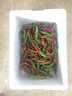 文枝邳州本地新鮮辣椒現摘薄皮螺絲椒尖椒徐州特產(chǎn)香辣青皮土辣椒炒肉 1斤 曬單實(shí)拍圖