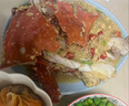舟山梭子蟹鮮活特大野生大螃蟹新鮮冷凍海鮮水產(chǎn)海蟹飛蟹白蟹順豐 7-9兩/只【5斤凈重 特大肥壯】 曬單實(shí)拍圖