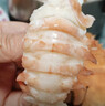 鮮喜利舟山琵琶蝦新鮮九齒扇蝦海鮮蝦姑特大瀨尿蝦生鮮水產(chǎn)鮮活冷凍爬蝦 1000g(凈重)  14-18cm 【4-5只/斤】 曬單實(shí)拍圖