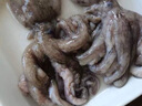 鮮喜利新鮮大墨魚(yú)鮮活冷凍墨魚(yú)仔超大生鮮水產(chǎn)海鮮烏賊目魚(yú)整只不泡藥 【中號2只裝】每只約 250g(凈重) 曬單實(shí)拍圖