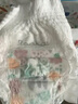 碧芭寶貝叢林狂想曲拉拉褲XL碼34片(12-17kg)學(xué)步褲夏季超薄 親膚不悶熱 曬單實(shí)拍圖
